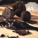 Fresh black périgord truffle