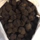 Fresh burgundy truffle